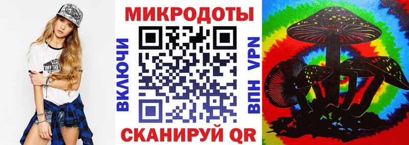 Купить Таганрог Псилоцибиновые грибы Cubensis