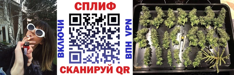 Купить где  Таганрог  Канабис LSD WEED 